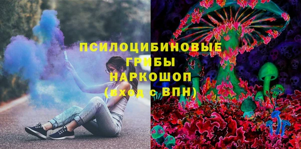 гашик Балахна