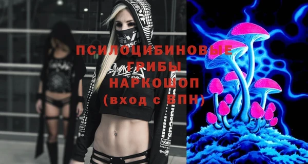 дмт Аркадак