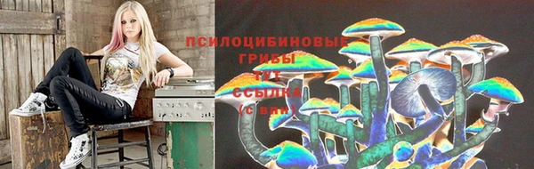 гашик Балахна