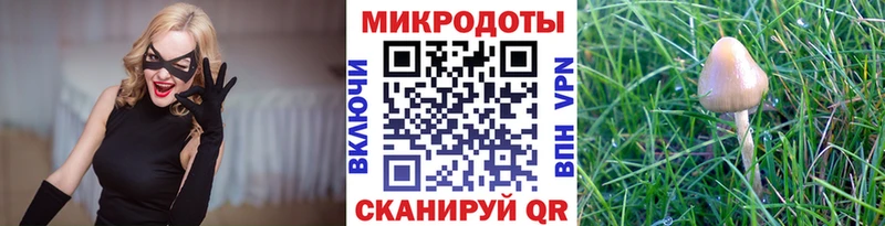 где продают наркотики  Таруса  Псилоцибиновые грибы Psilocybine cubensis 